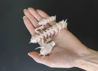 Optimized Little White Dragon